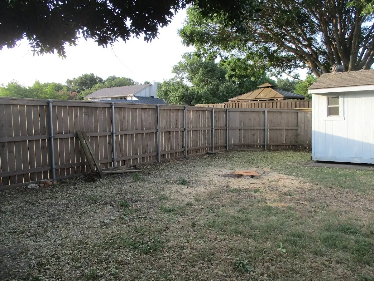 Cleared yard after professional tree removal in California City